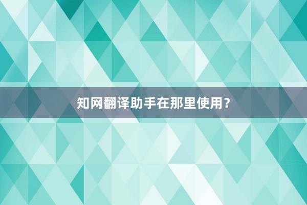 知网翻译助手在那里使用？
